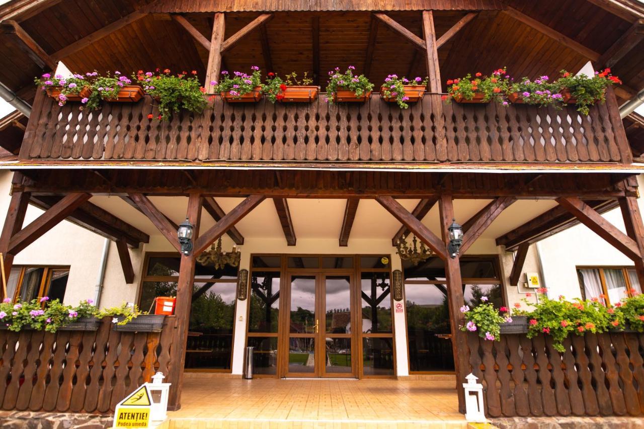 Pensiunea Sachsenhof Bagaciu Exterior foto