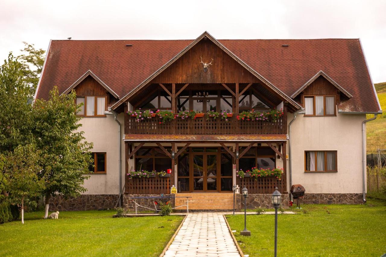 Pensiunea Sachsenhof Bagaciu Exterior foto