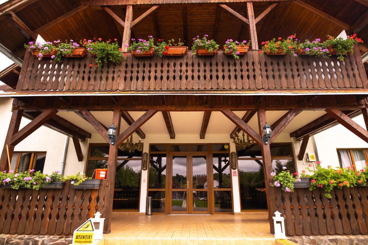 Pensiunea Sachsenhof Bagaciu Exterior foto